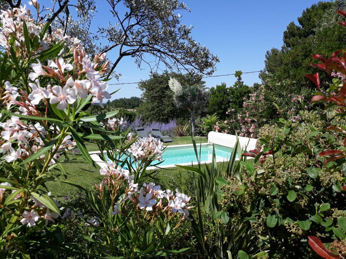 Parfums De Provence "Le Lavandin" Piscine Chauffee & Spa Vaison-la-Romaine Exteriör bild